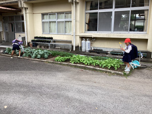 Img_2234_1 Img_2234_1