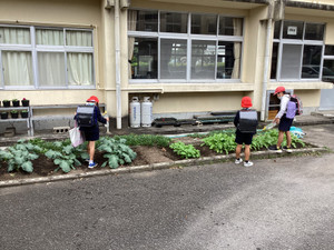 Img_2236_1 Img_2236_1