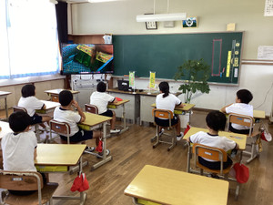 Img_5572 Img_5572