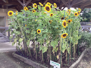 Img_5800 Img_5800