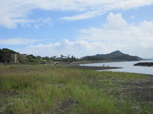 Img_0392 Img_0392