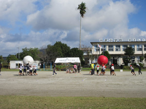Img_0407 Img_0407